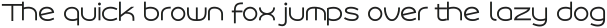 Roona Sans Light ttf (300)