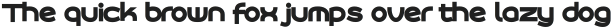 Roona Sans Black ttf (900)