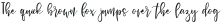 Vianette Script otf (400)