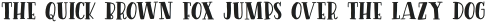 Driftwood Solid Serif otf (400)