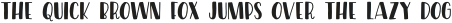 Driftwood Solid Sans otf (400)