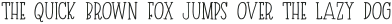 Driftwood Monoline Serif otf (400)