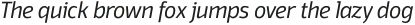 Domotika Light Italic otf (300)
