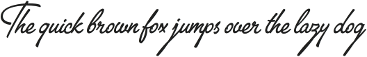 The Voyage Culture Script otf (400)