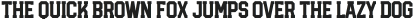 Hitch Route Serif otf (400)