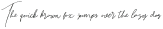 Bitlamero Slant Script Italic otf (400)