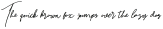 Bitlamero Slant Bold Script Bold Italic otf (700)