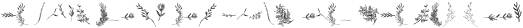 Silex illustrations otf (400)