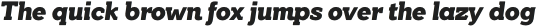 Yonky Black Italic otf (900)