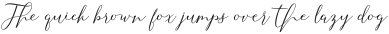 Selvia outline otf (400)