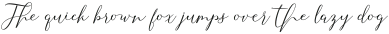 Selvia outline ttf (400)