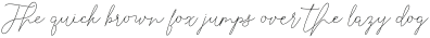 Selvia line ttf (400)