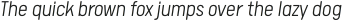 Calps Light Italic otf (300)