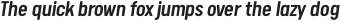Calps Medium Italic otf (500)