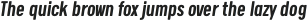 Calps Slim Medium Italic otf (500)