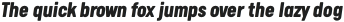 Calps Black Italic otf (900)