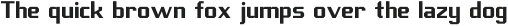 Scoreline Sans Light otf (300)