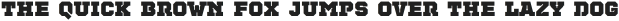 TecoSerif Ultra otf (900)