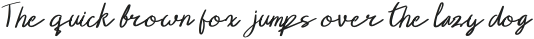 Egatta Italic otf (400)
