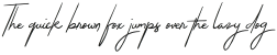The Jacklyn Regular otf (400)