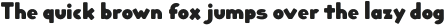 Dectura Round otf (800)