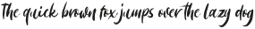 Morriles Script otf (400)