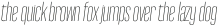 Reformer Light Italic otf (300)