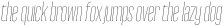Reformer-Serif Thin Italic otf (100)