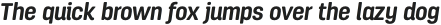 AntartidaRD Ess Bold Italic otf (700)