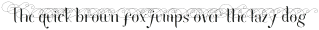 JetQuinnSwashes8 otf (400)