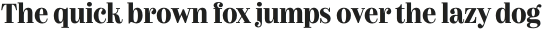 Couturier Bold otf (700)