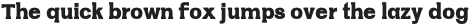 NO�R otf (400)