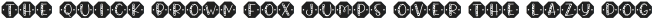 King Rabbit Monogram otf (400)
