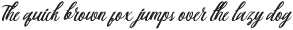 Berlin Script ttf (400)