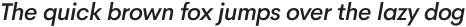 Cerebri Sans Medium Italic ttf (500)