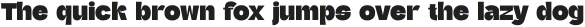 Kingfink Regular otf (400)
