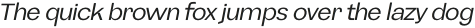 Namian Regular Italic otf (400)