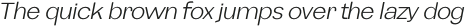 Namian Light Italic otf (300)