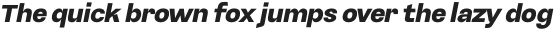 Namian Black Italic otf (900)