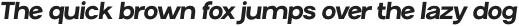 Magnetum Medium Italic otf (500)