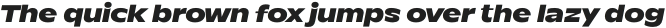 Waveer Black Italic otf (900)