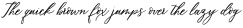 Coconut Milk Script otf (400)