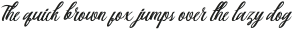 Berlin Script Medium ttf (500)