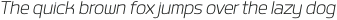Labrador B Light Italic otf (300)