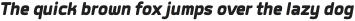 Labrador B Black Italic otf (900)