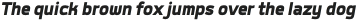 Labrador A Black Italic otf (900)