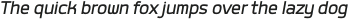 Labrador A Medium Italic otf (500)