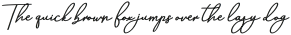 Aneisha Script Bold Regular otf (700)