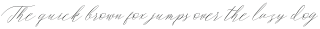Magarella Script Regular otf (400)