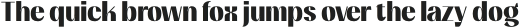 Mansel Heavy Condensed otf (800)